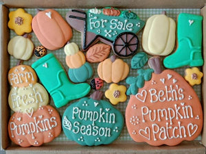 The Pumpkin Patch ( large box of cookies )