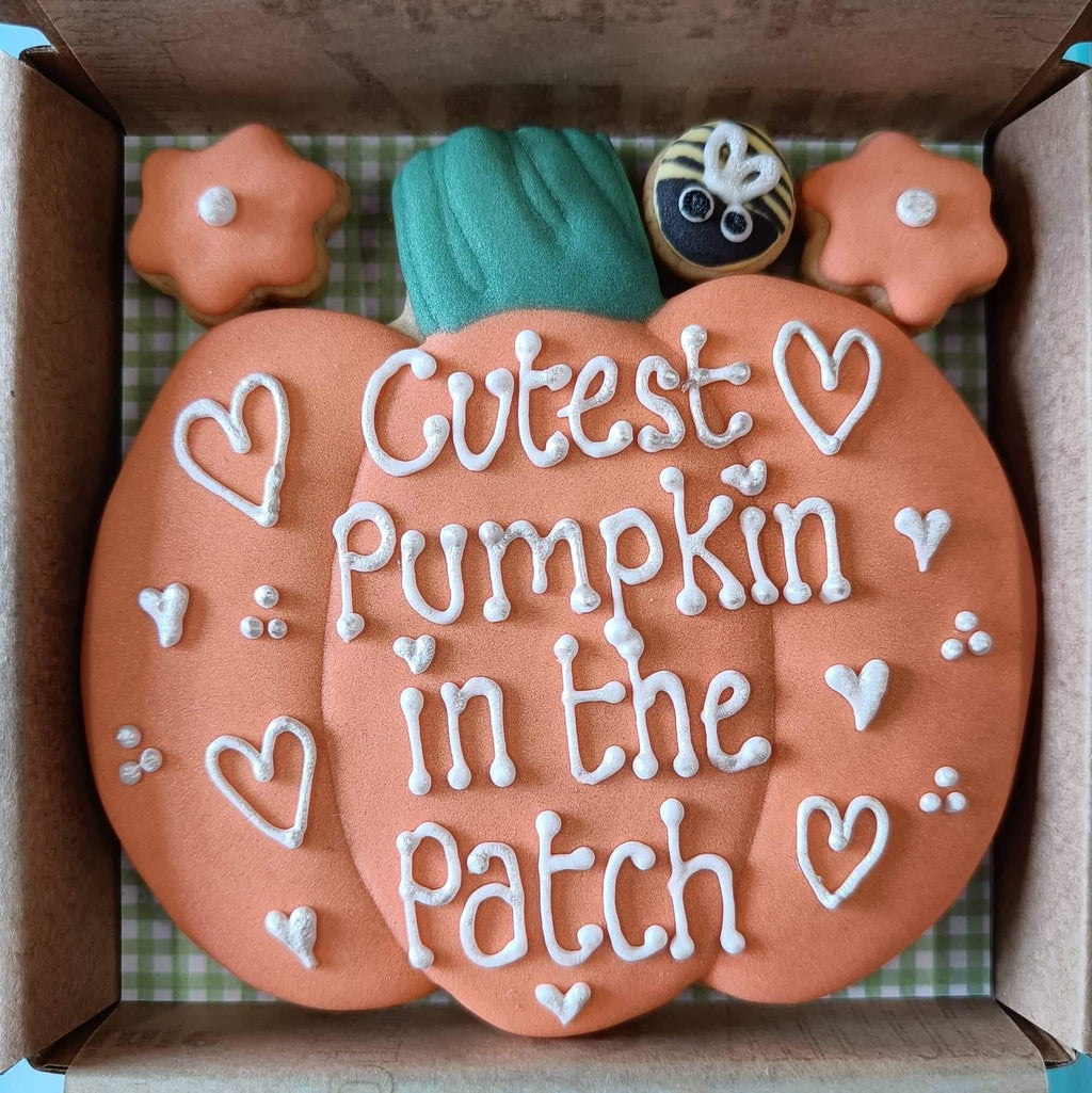 Cutest pumpkin in the patch - Little box of Joy