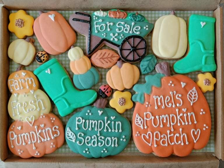 The Pumpkin Patch ( large box of cookies )
