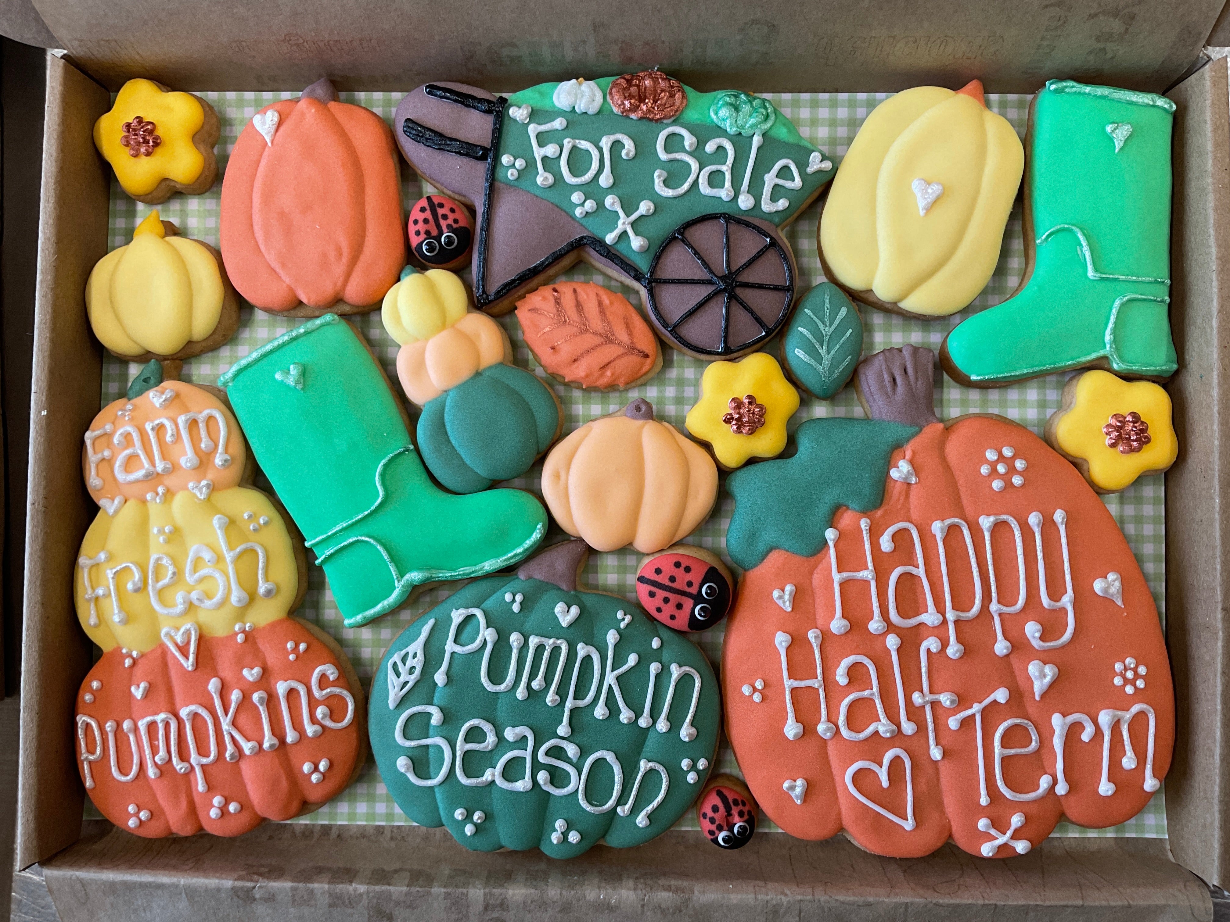 The Pumpkin Patch ( large box of cookies )