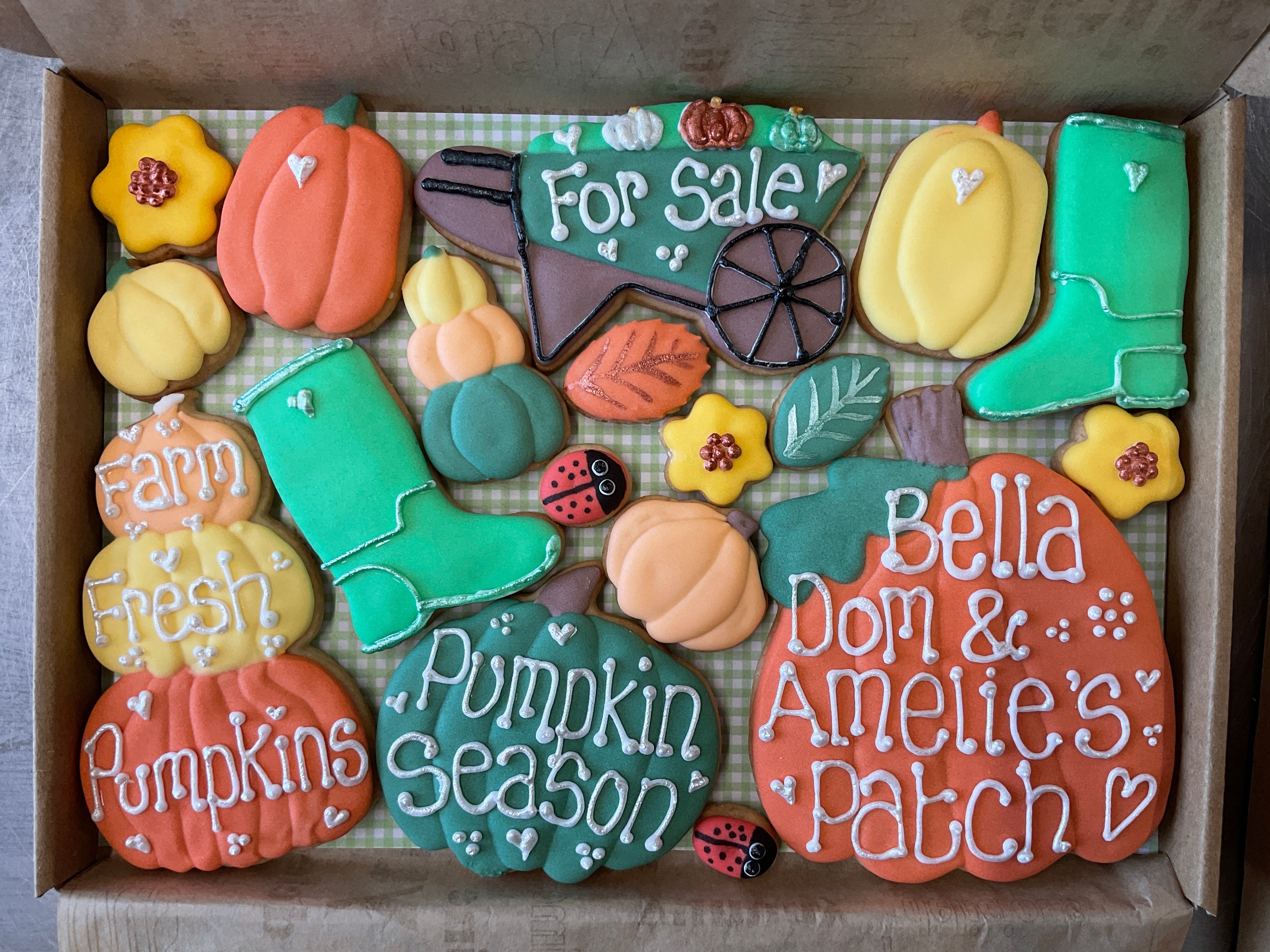 The Pumpkin Patch ( large box of cookies )